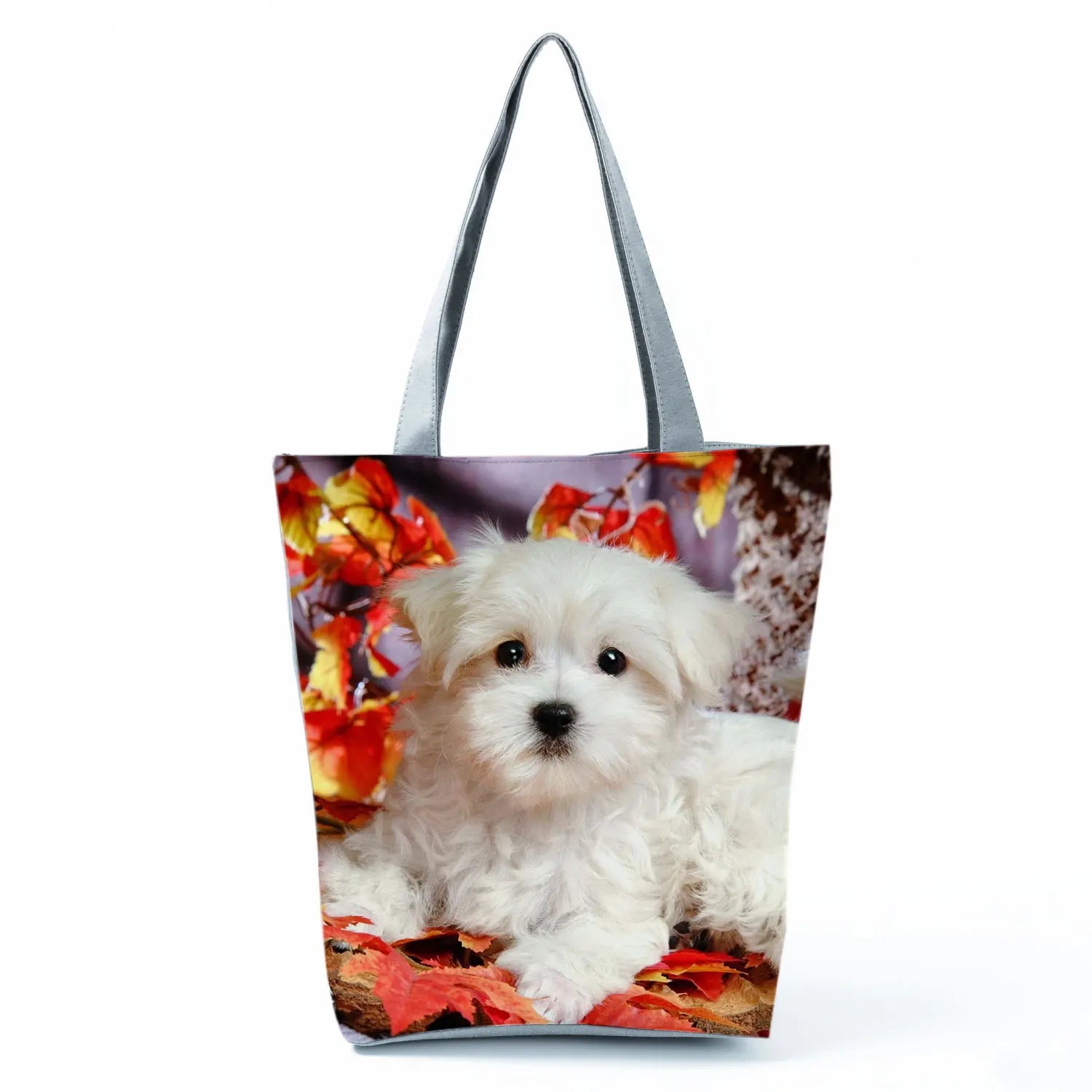 Borsa gatto donna elegante: come sceglierla