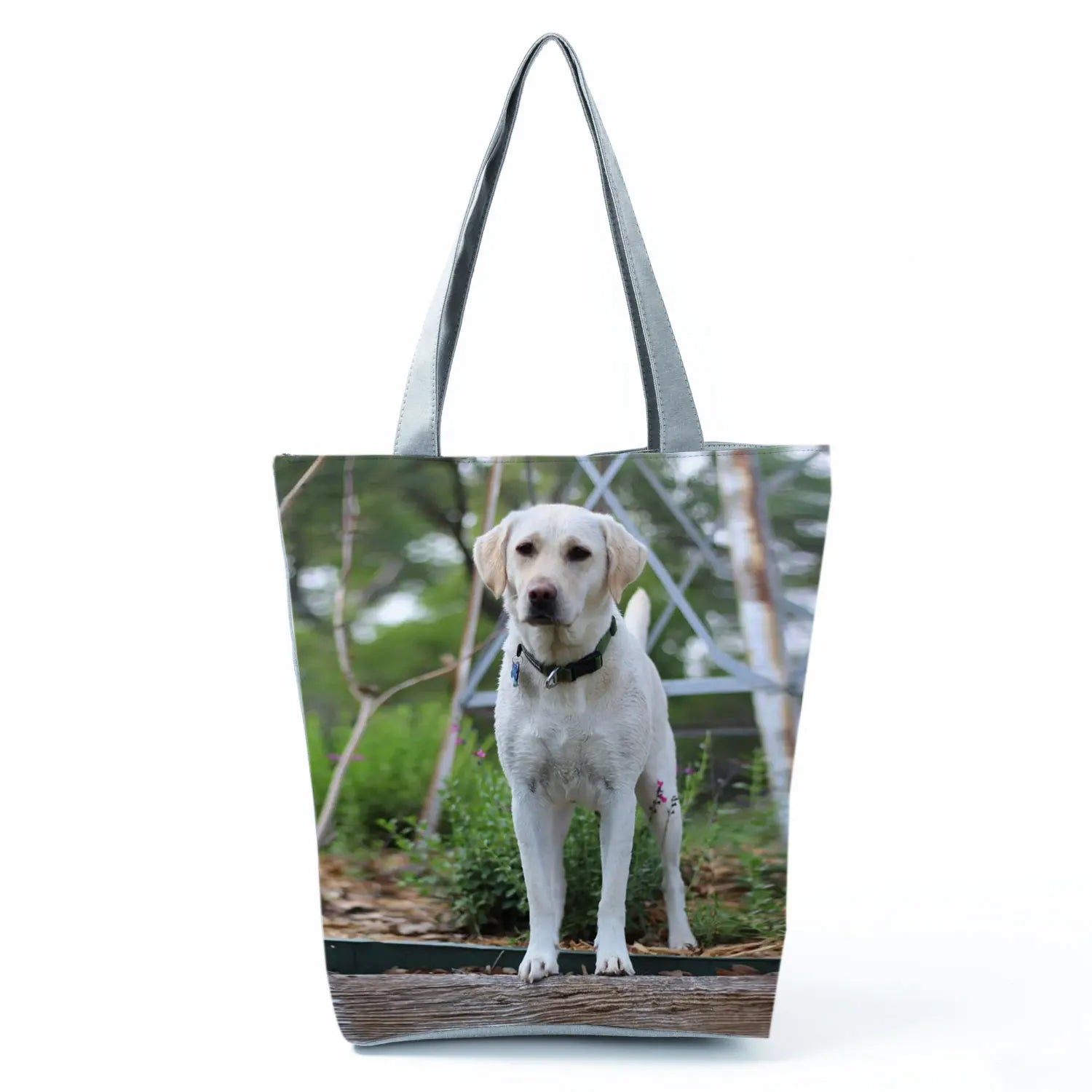 Borsa Cane Volpino 2026