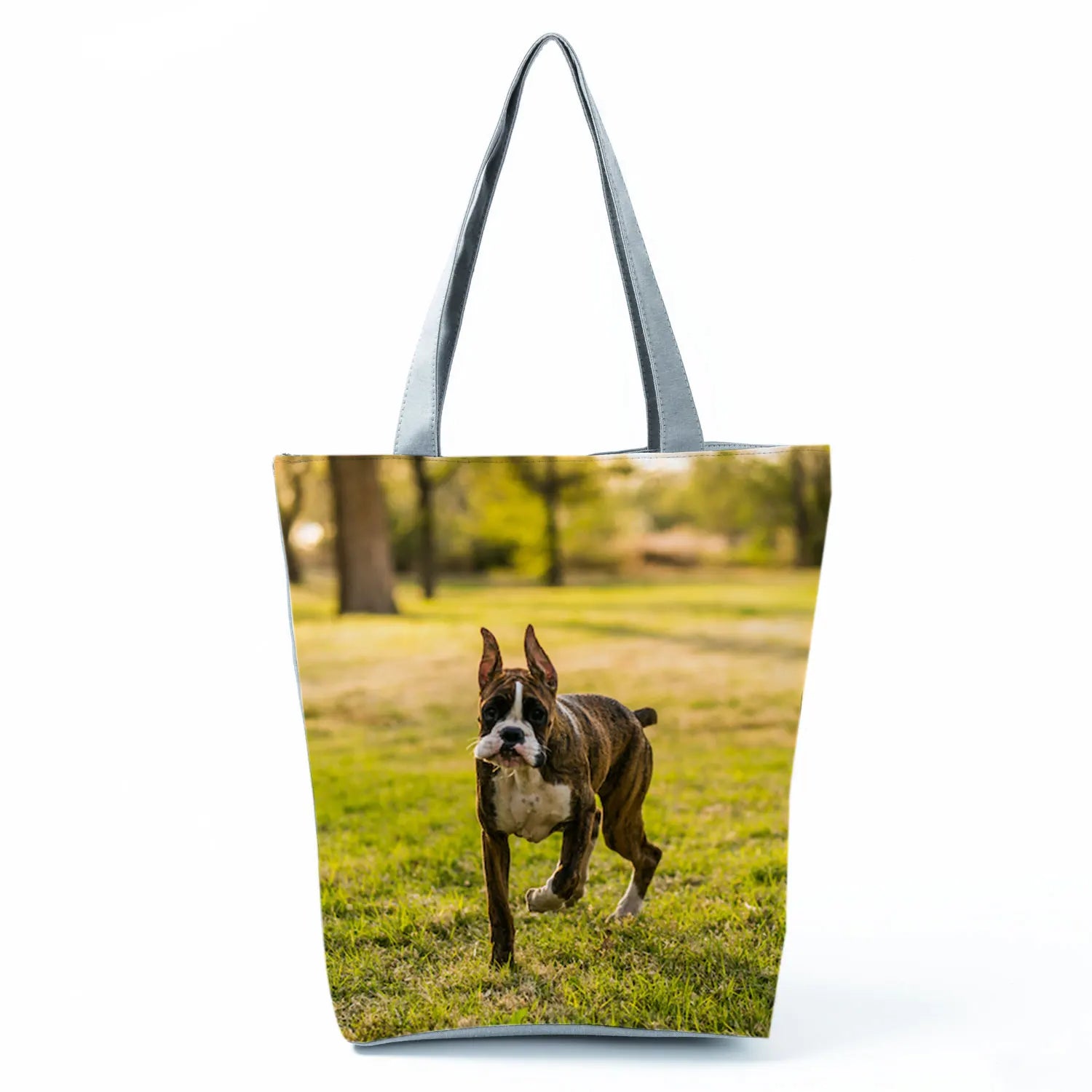 Borsa Cane Volpino 2026