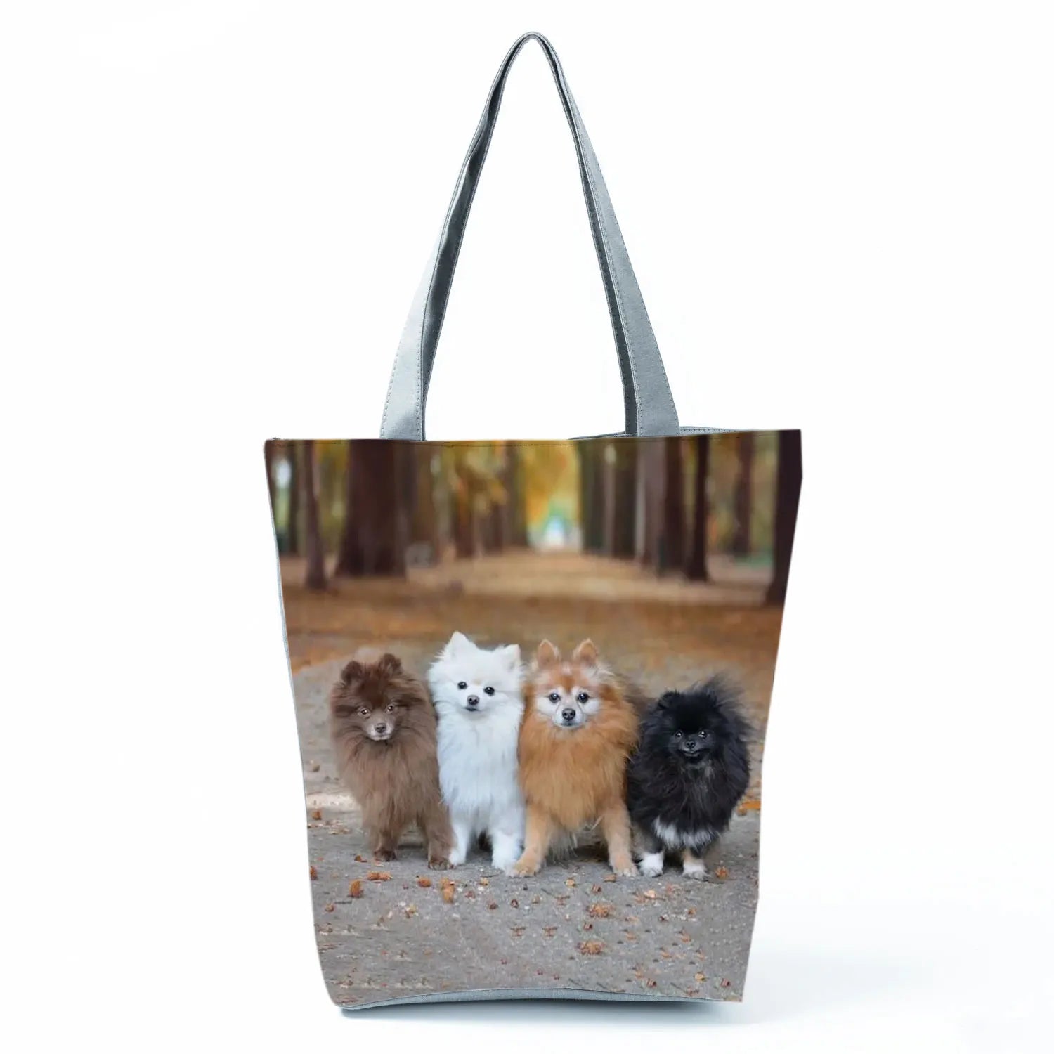 Borsa Cane Volpino 2026