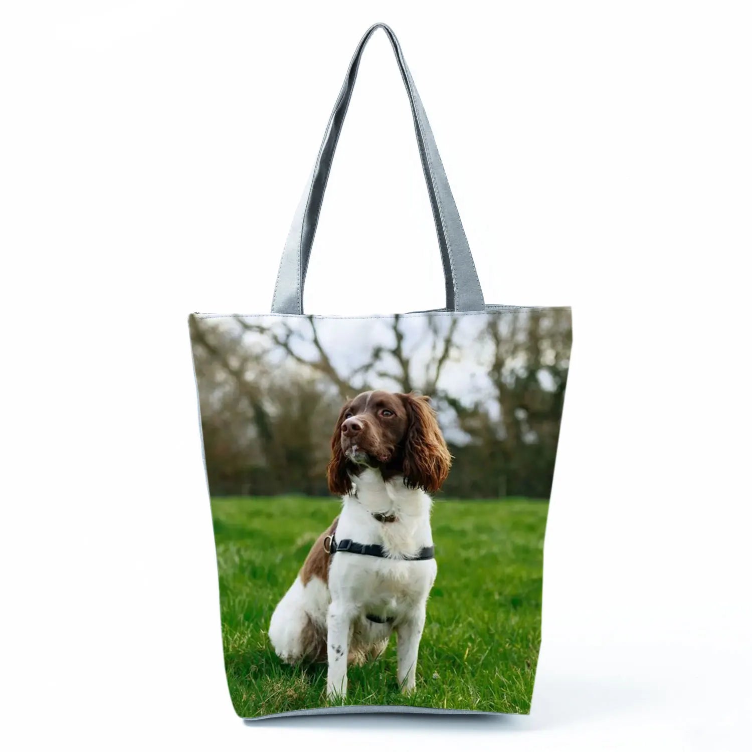 Borsa Cane Volpino 2026