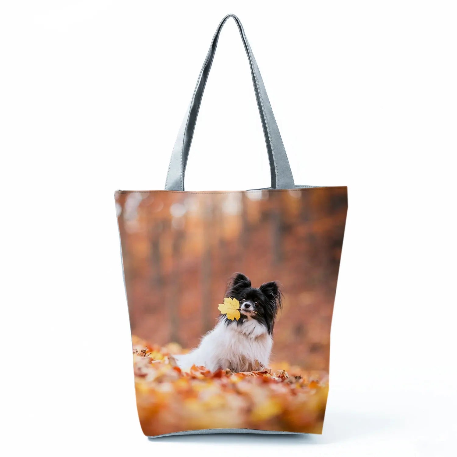Borsa Cane Volpino 2026