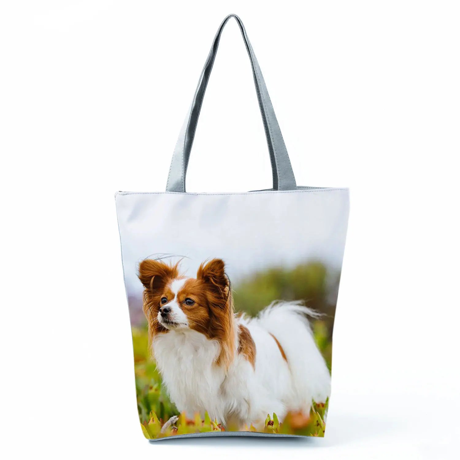 Borsa Cane Volpino 2026