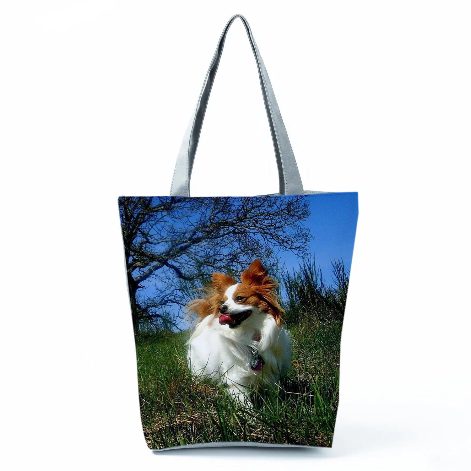 Borsa Cane Volpino 2026