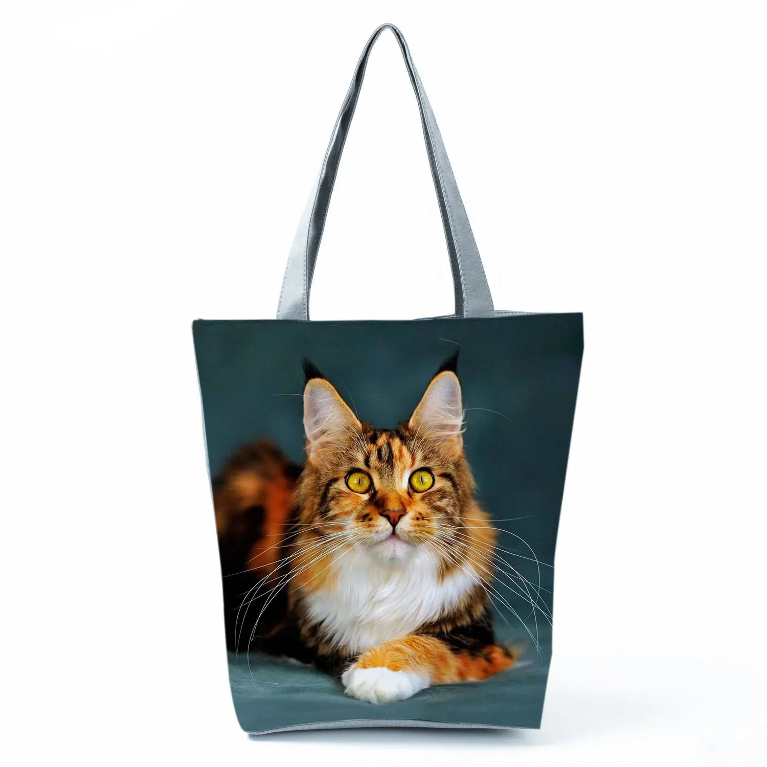 Borsa Gatto Maine Coon 2026