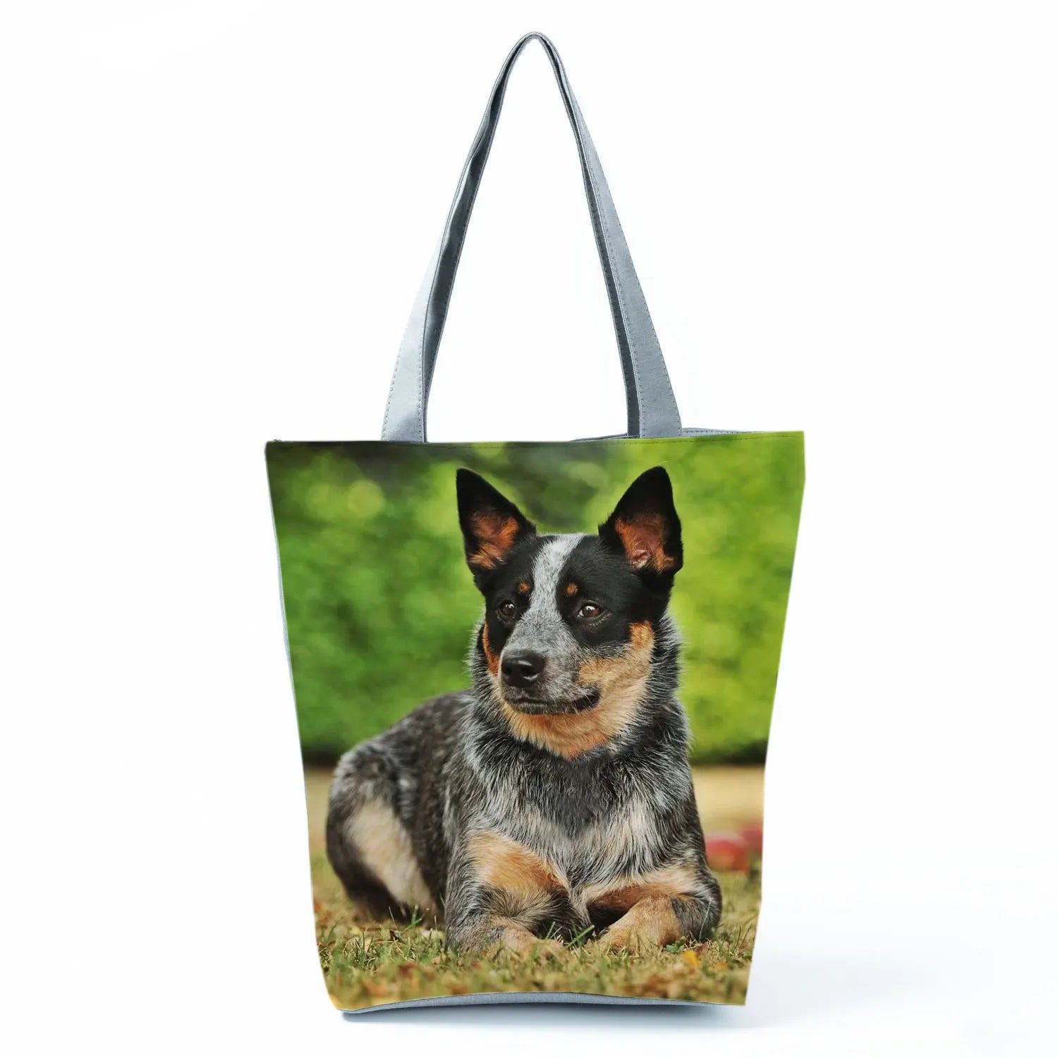 Borsa Cane Volpino 2026