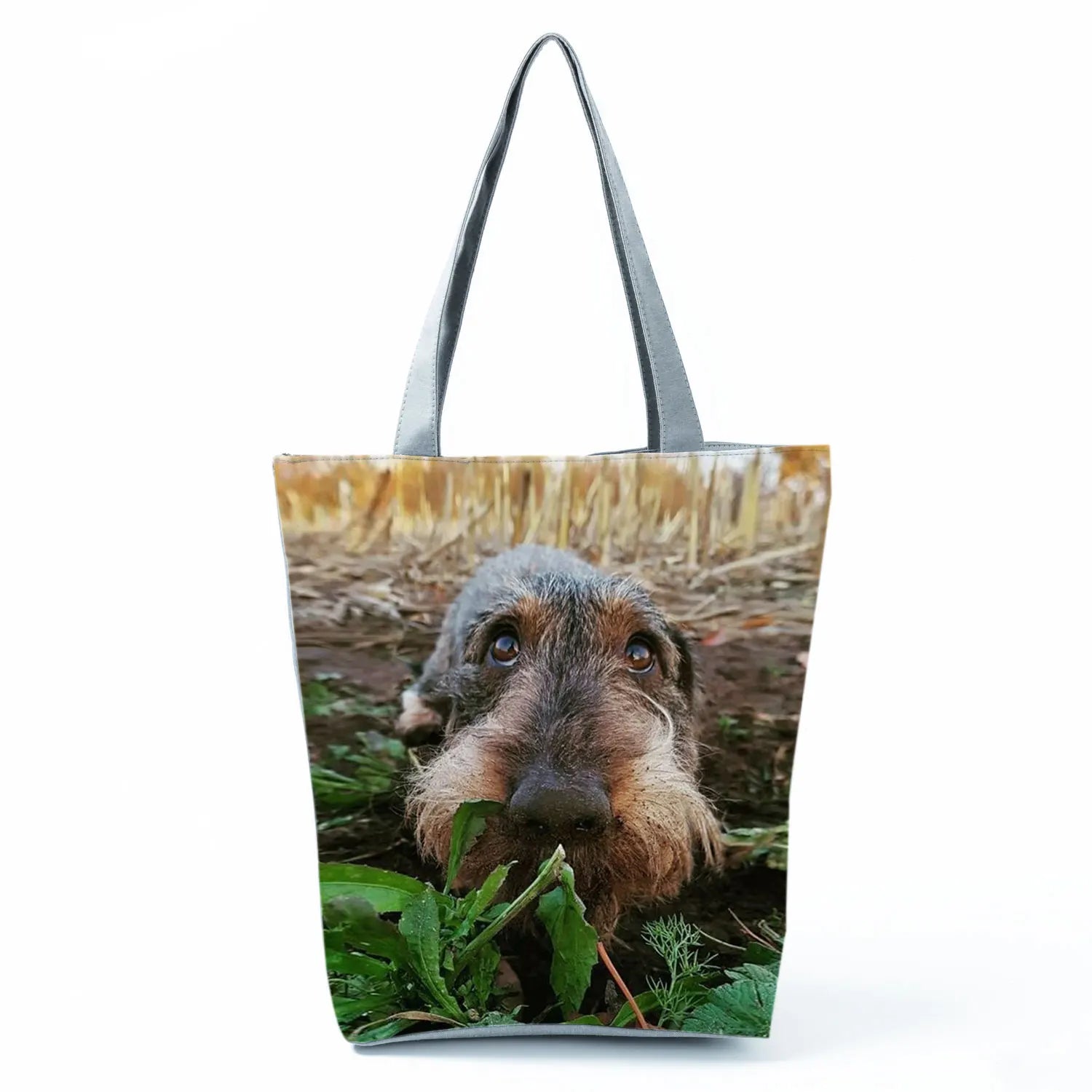 Borsa Cane Bassotto 2026