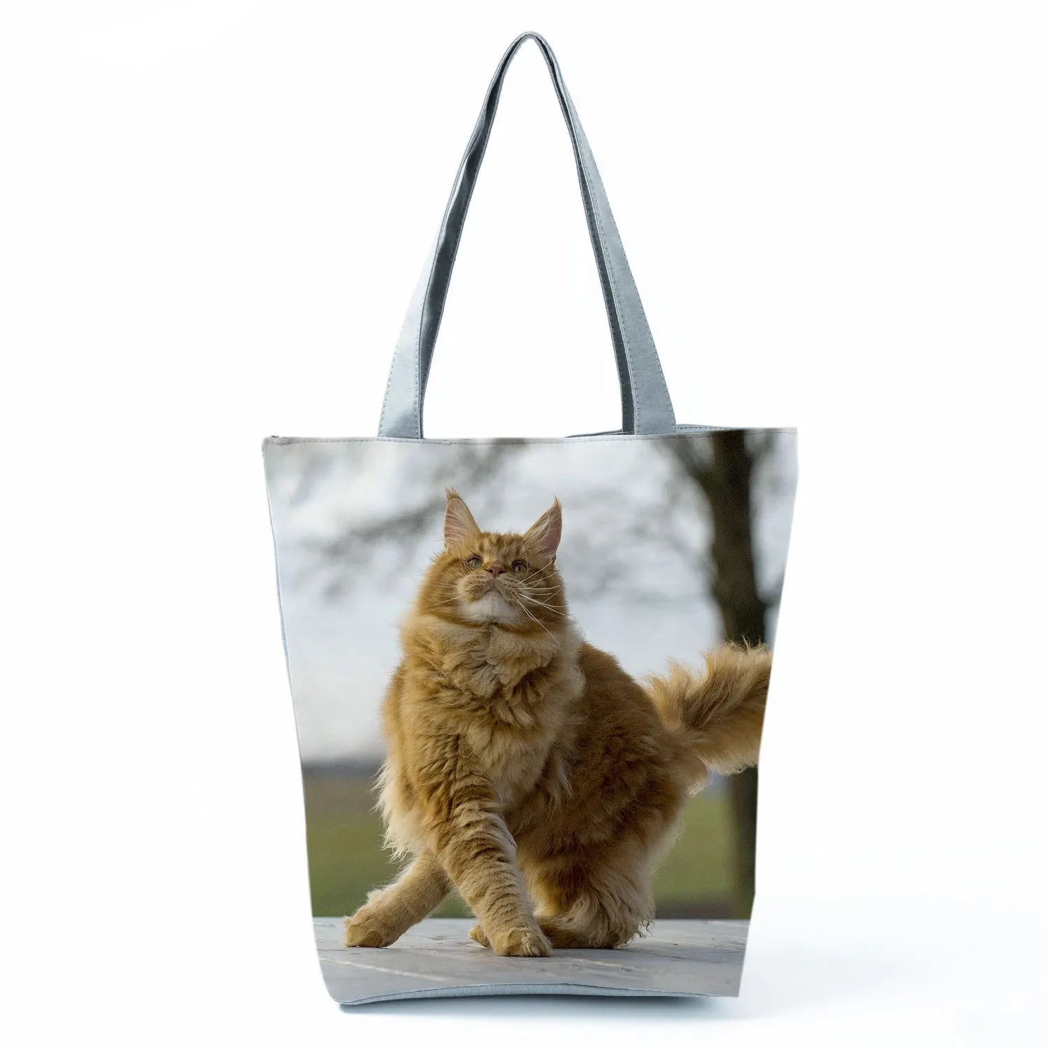 Borsa Gatto Maine Coon 2026