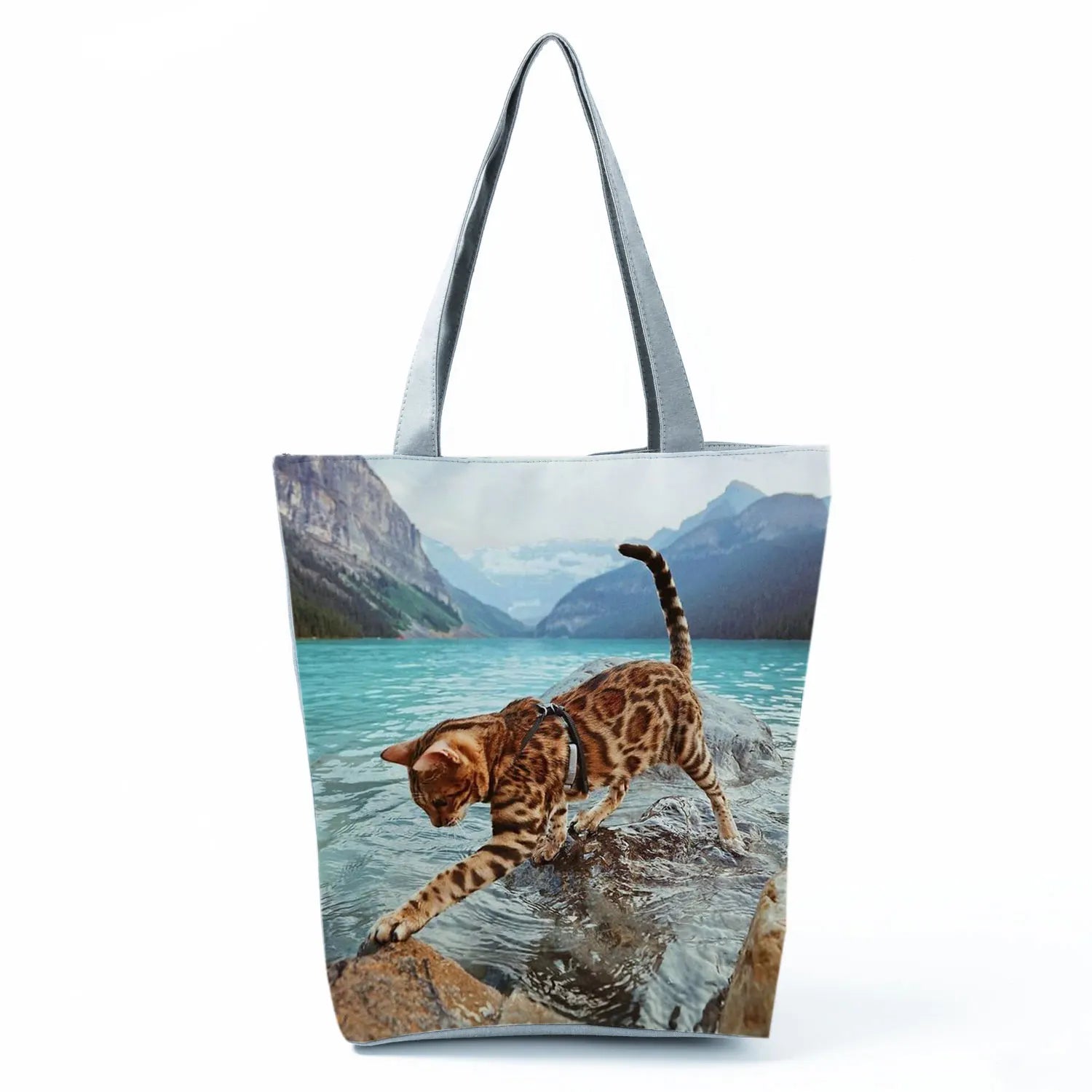 Borsa Gatto del Bengala 2026