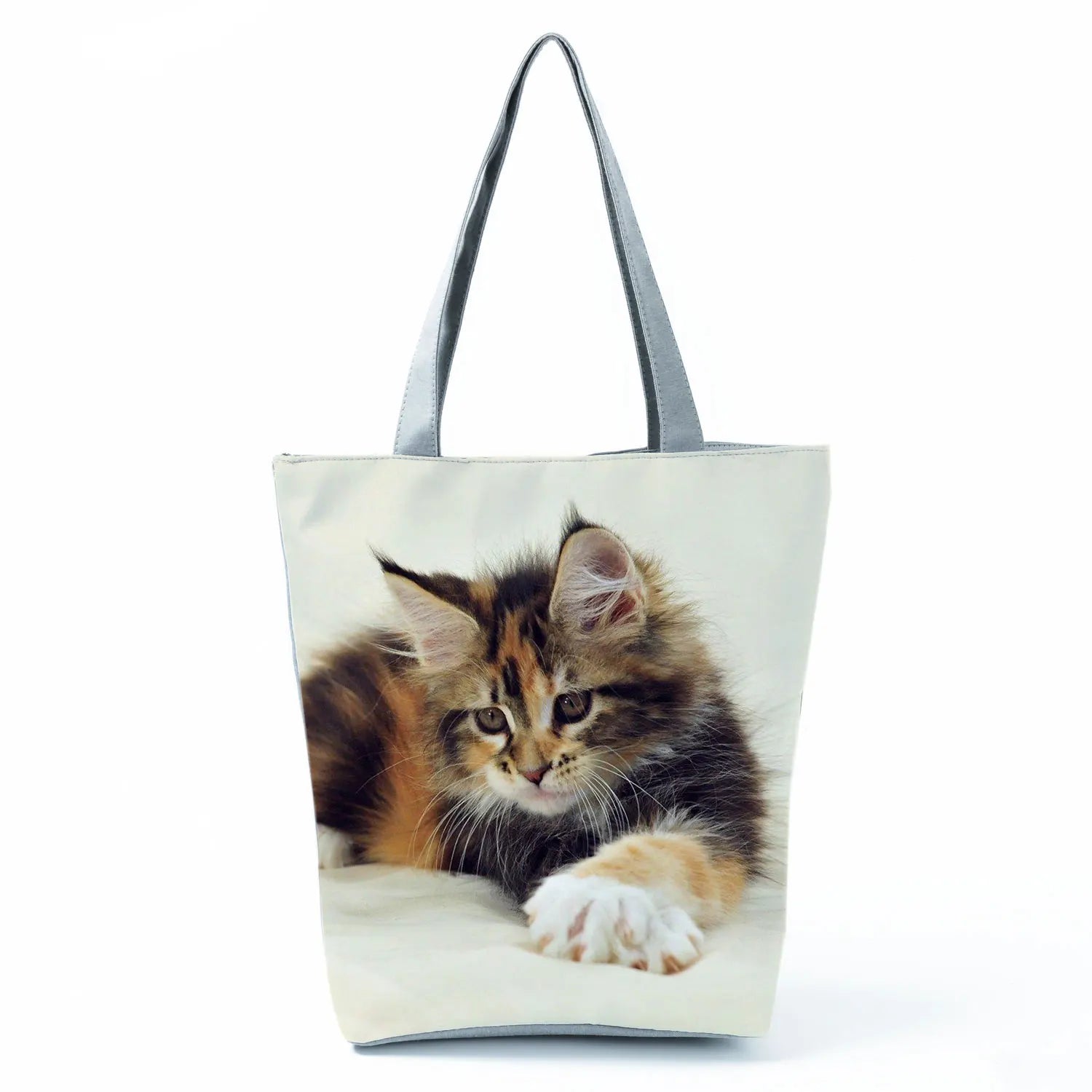 Borsa Gatto Maine Coon 2026