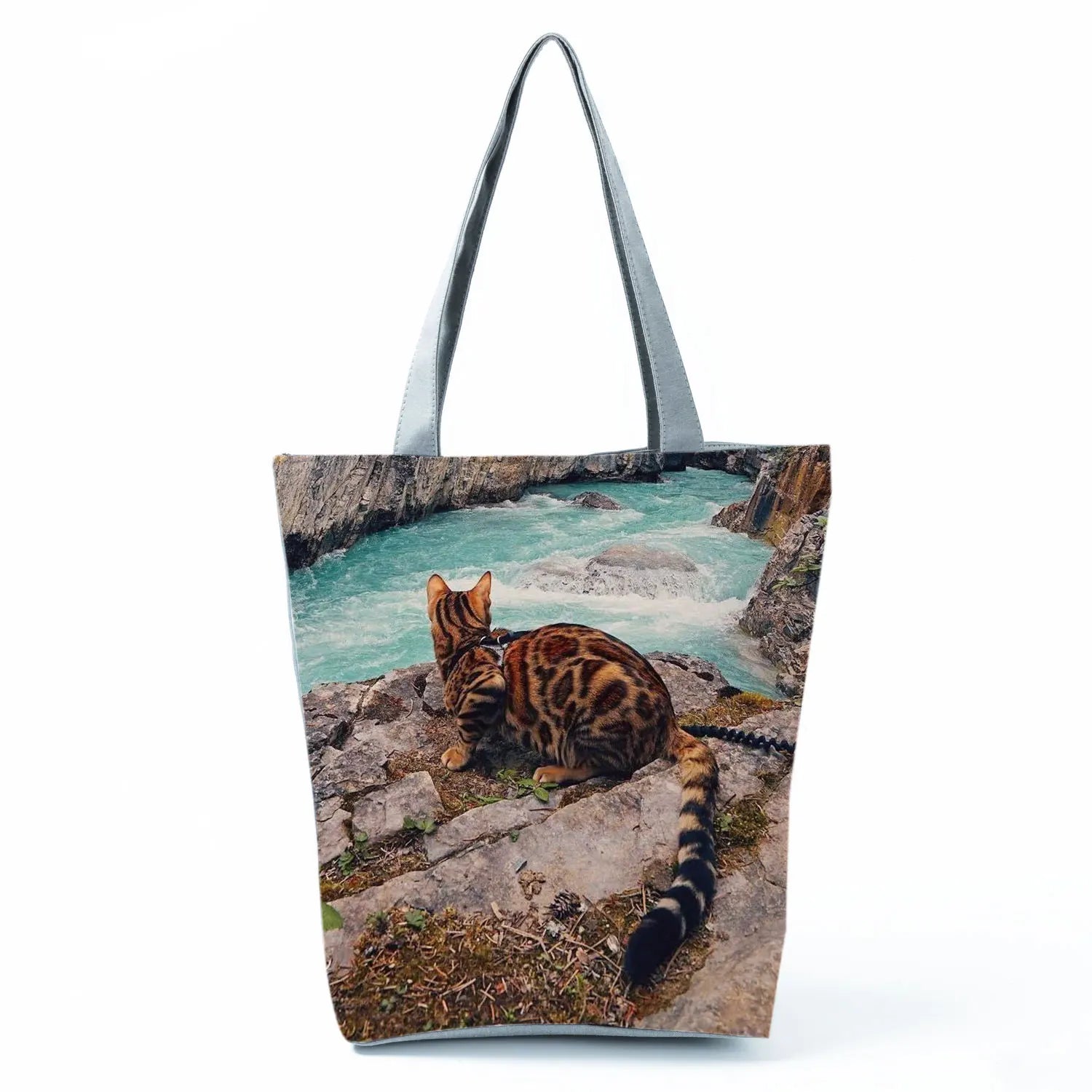 Borsa Gatto del Bengala 2026