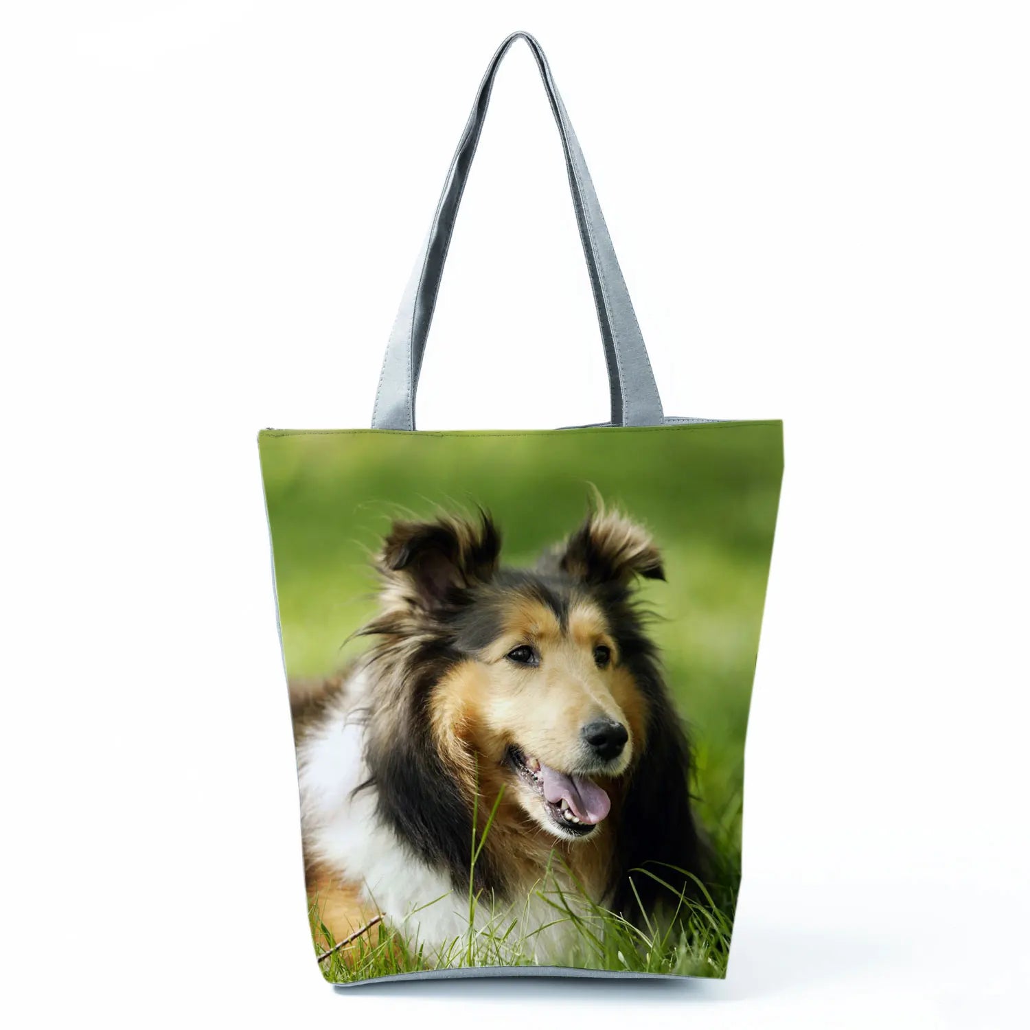 Borsa Rough Collie 2026