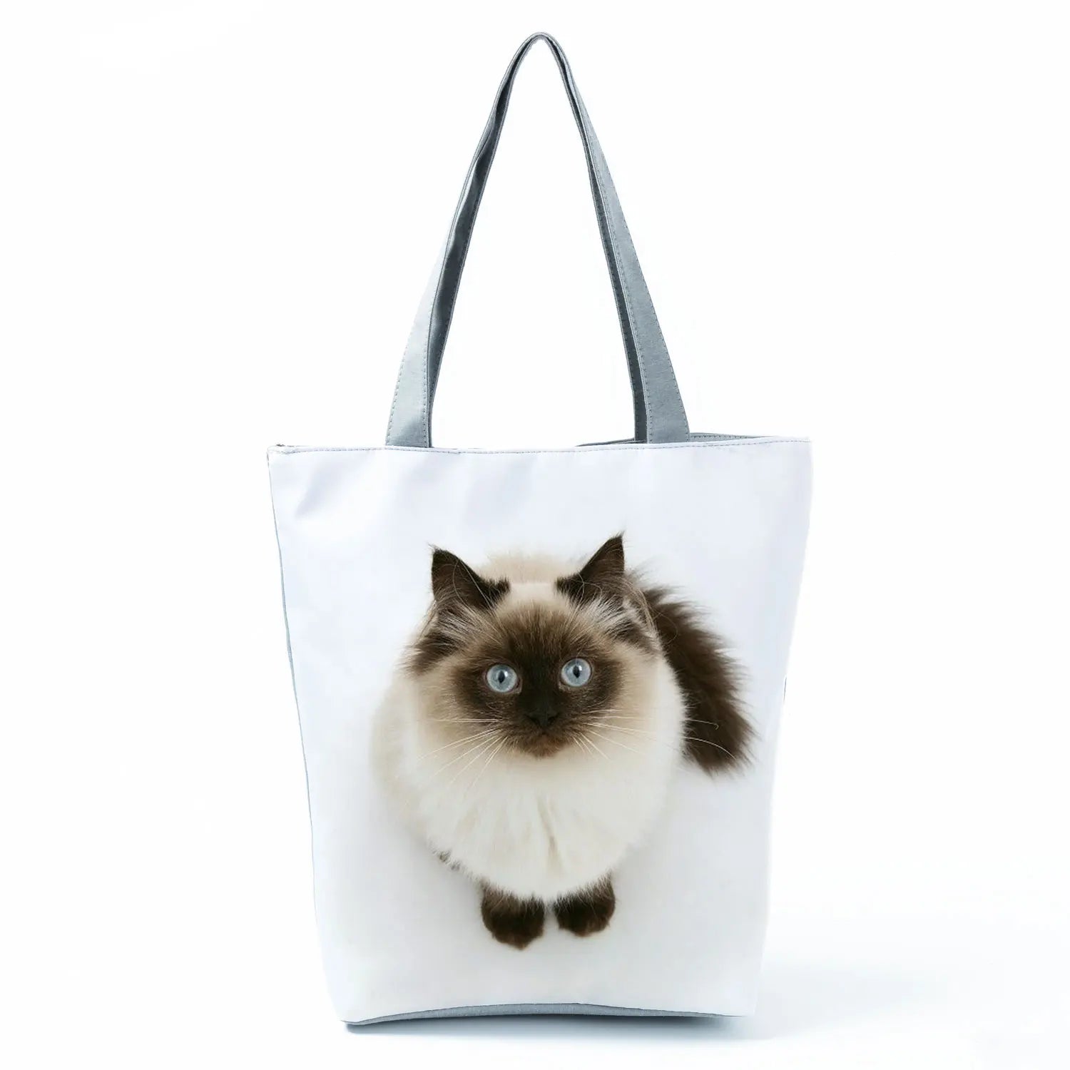 Borsa Gatto Siamese 2026