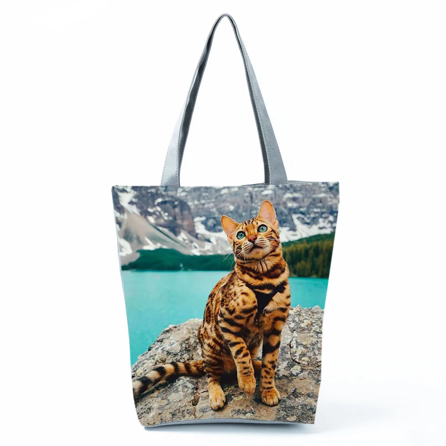 Borsa Gatto del Bengala 2026