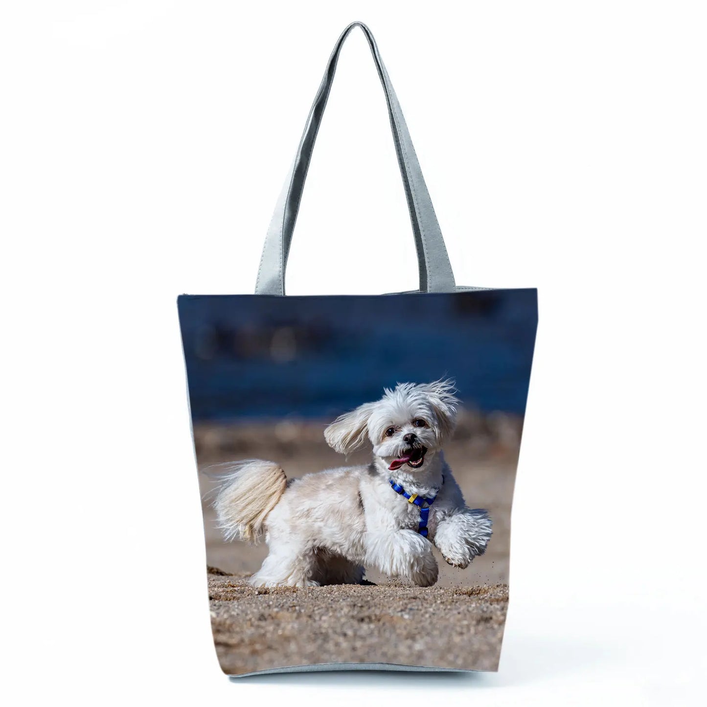 Borsa Cane Maltese Marzo 2026