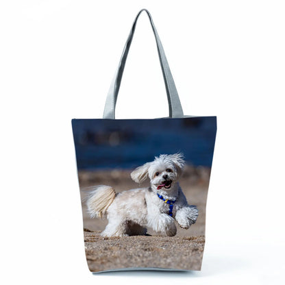 Borsa Cane Maltese Marzo 2026