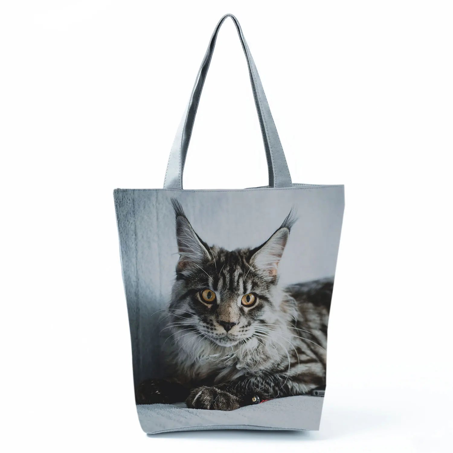 Borsa Gatto Maine Coon 2026