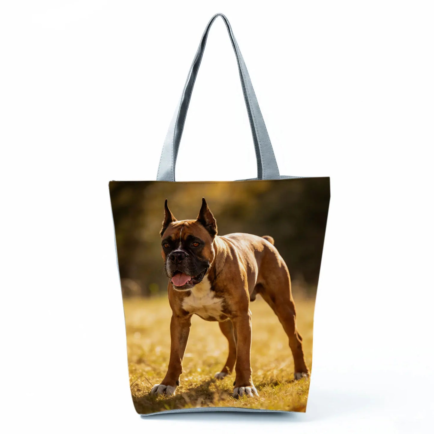 Borsa Cane Boxer Gennaio 2026