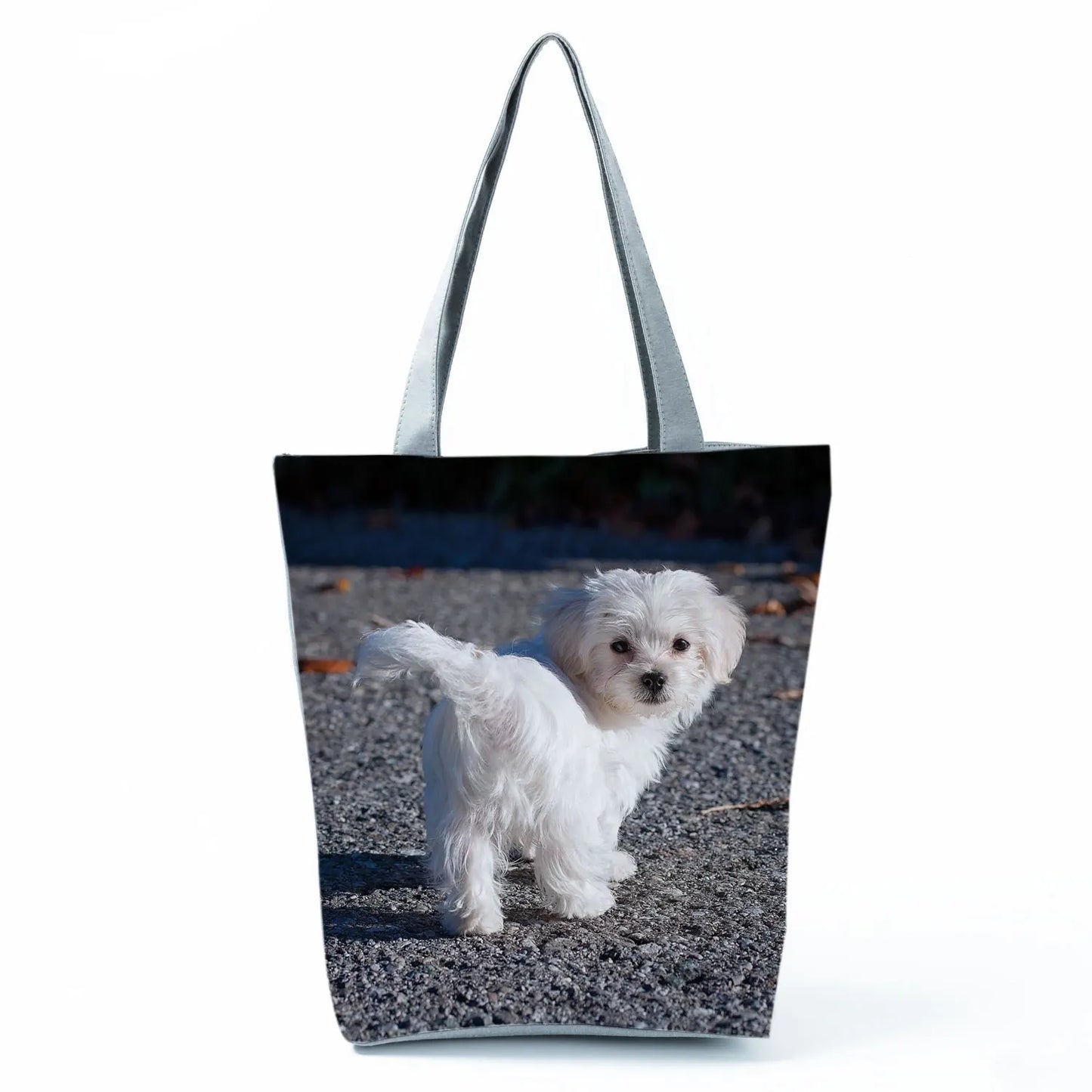 Borsa Cane Maltese Marzo 2026