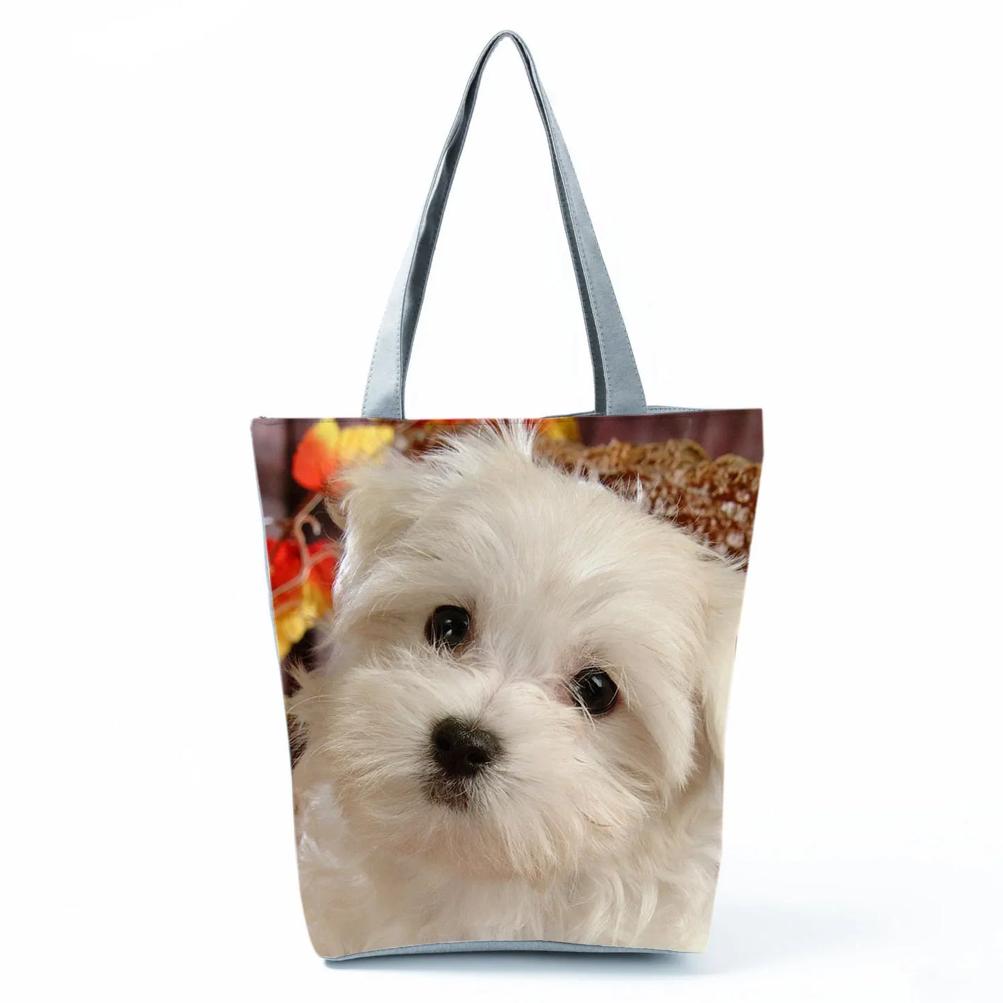 Borsa Cane Maltese Marzo 2026