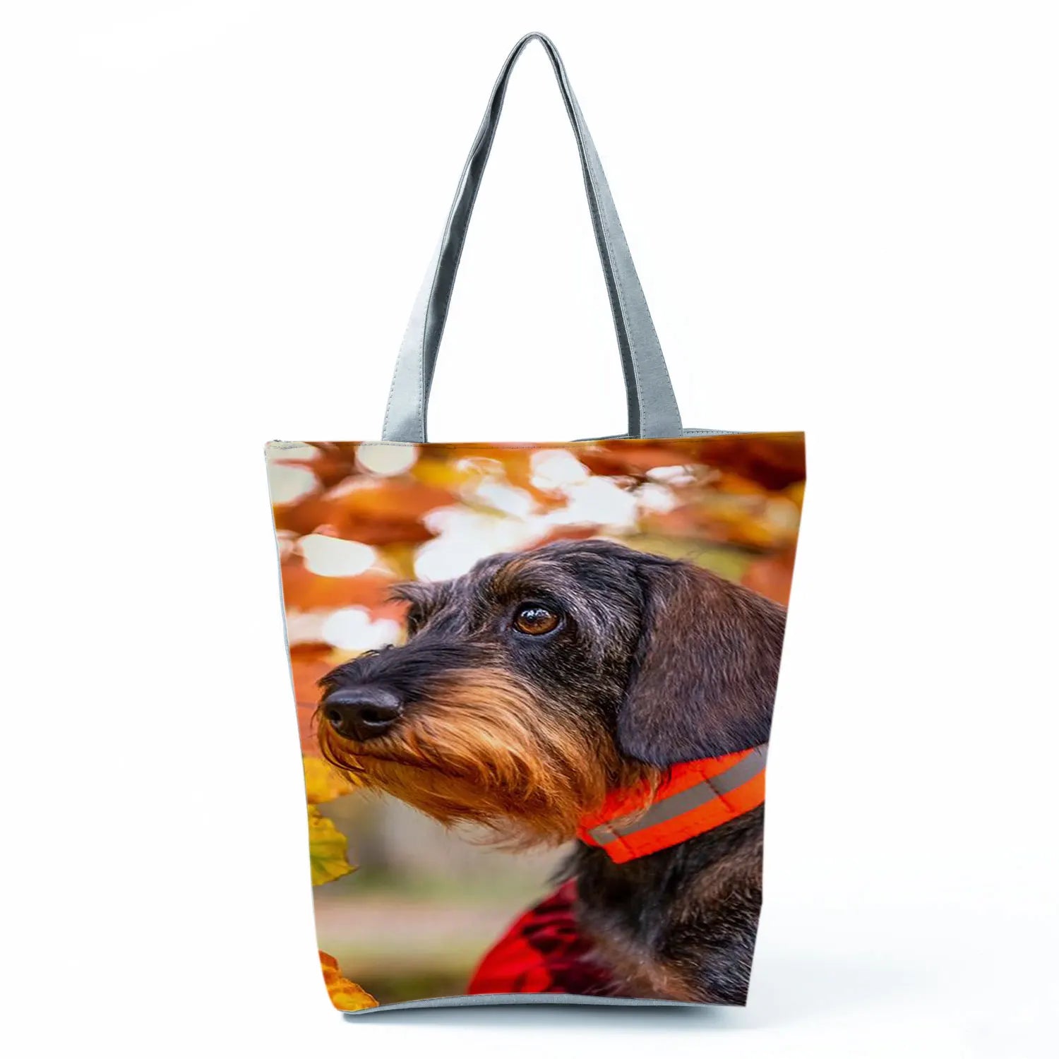 Borsa Cane Bassotto 2026