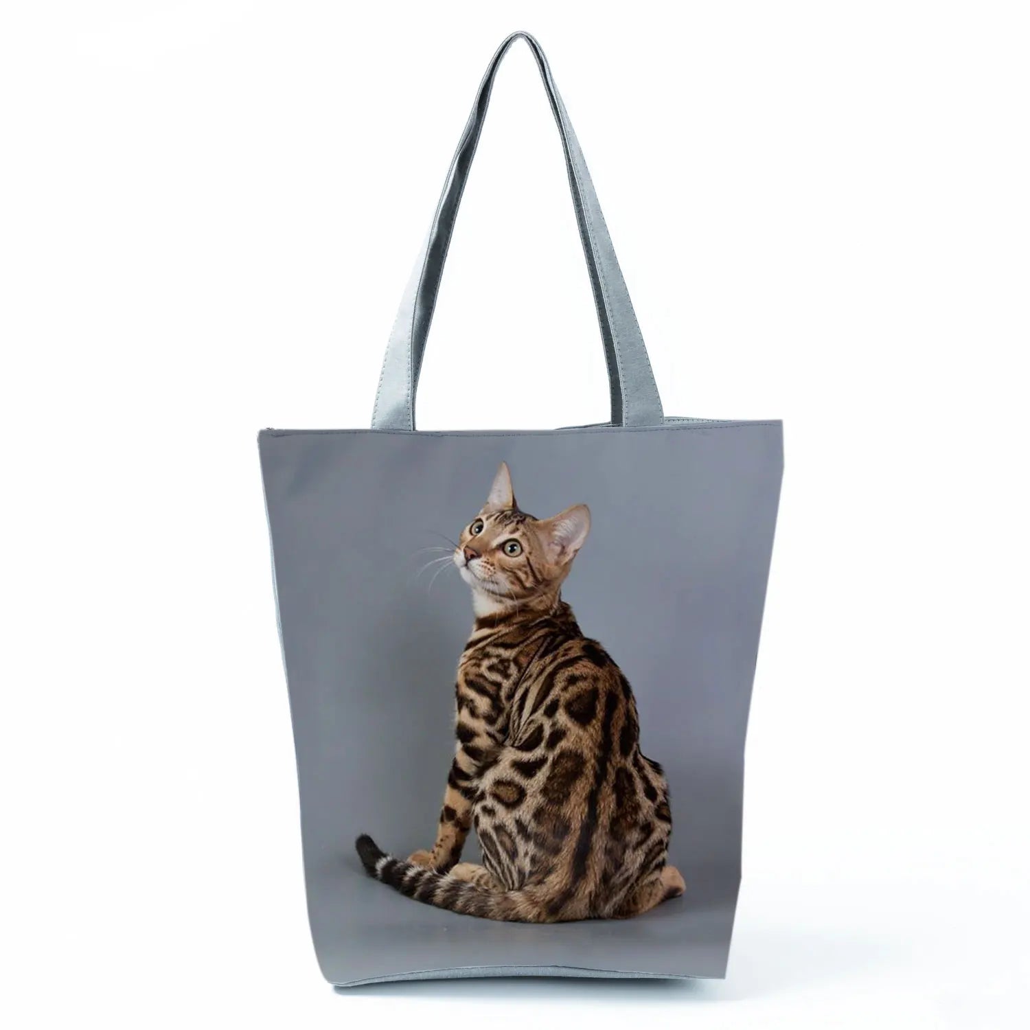 Borsa Gatto del Bengala 2026