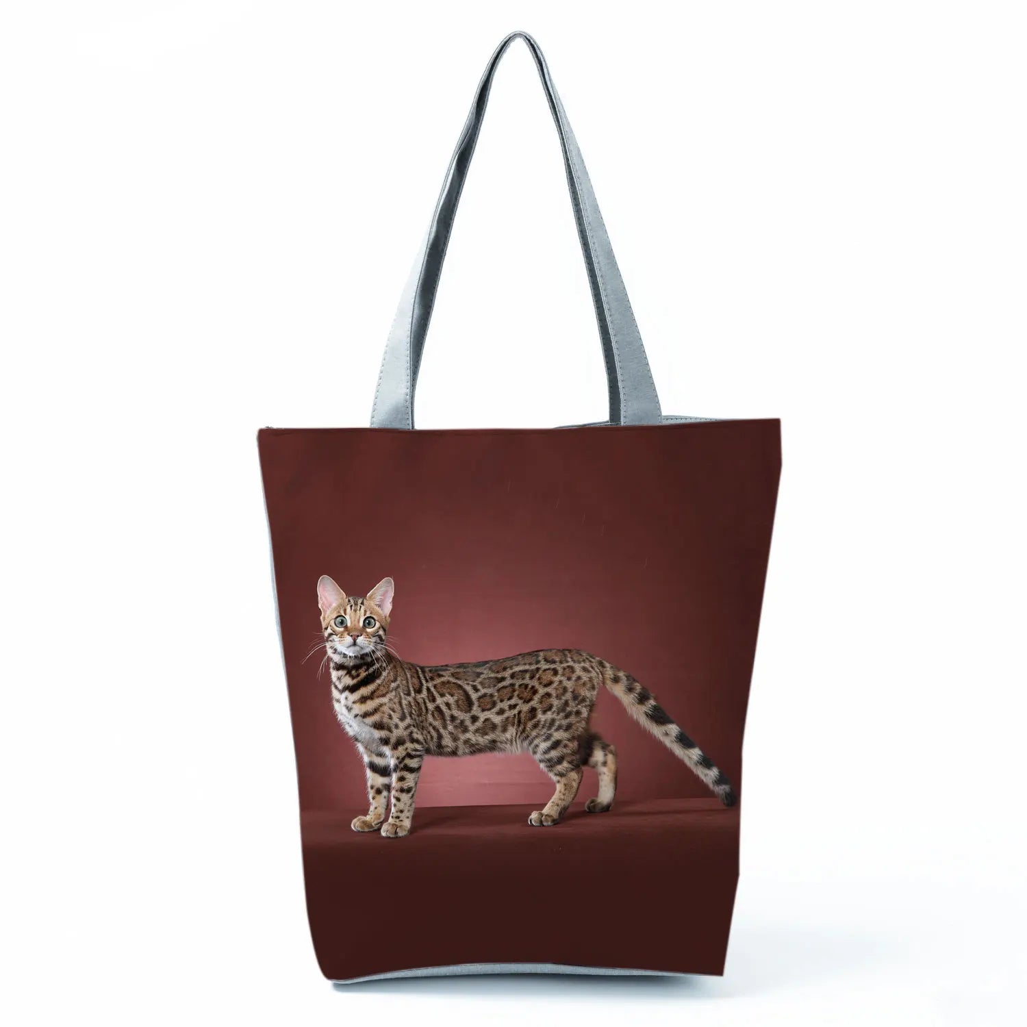 Borsa Gatto del Bengala 2026