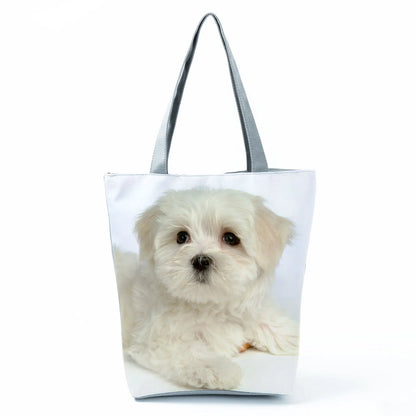 Borsa Cane Maltese Marzo 2026