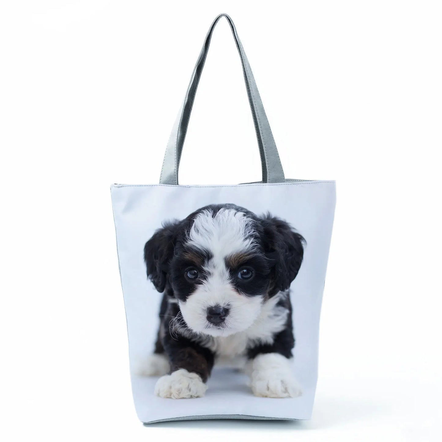 Borsa Cane Maltese Marzo 2026