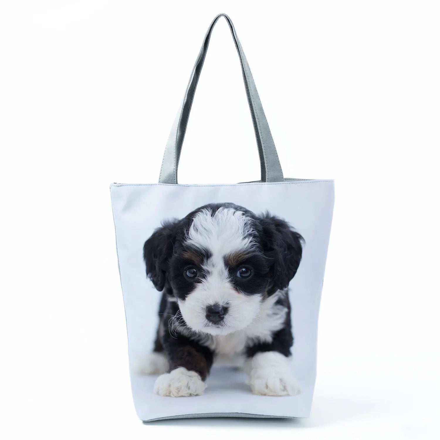 Borsa Cane Maltese Marzo 2026