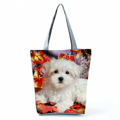 Borsa Cane Maltese Marzo 2026
