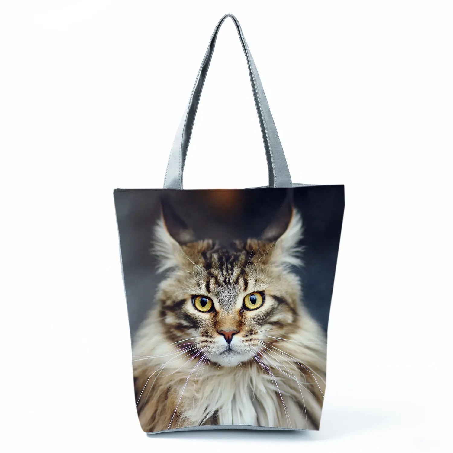 Borsa Gatto Maine Coon 2026