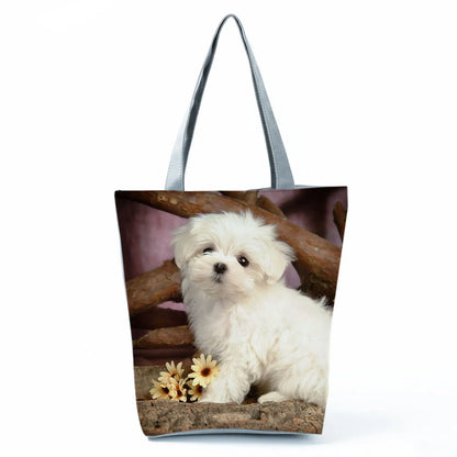 Borsa Cane Maltese Marzo 2026