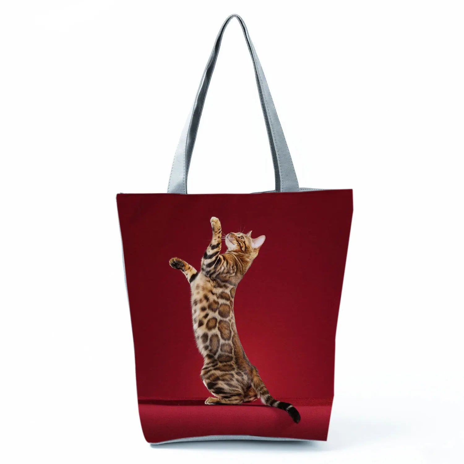 Borsa Gatto del Bengala 2026