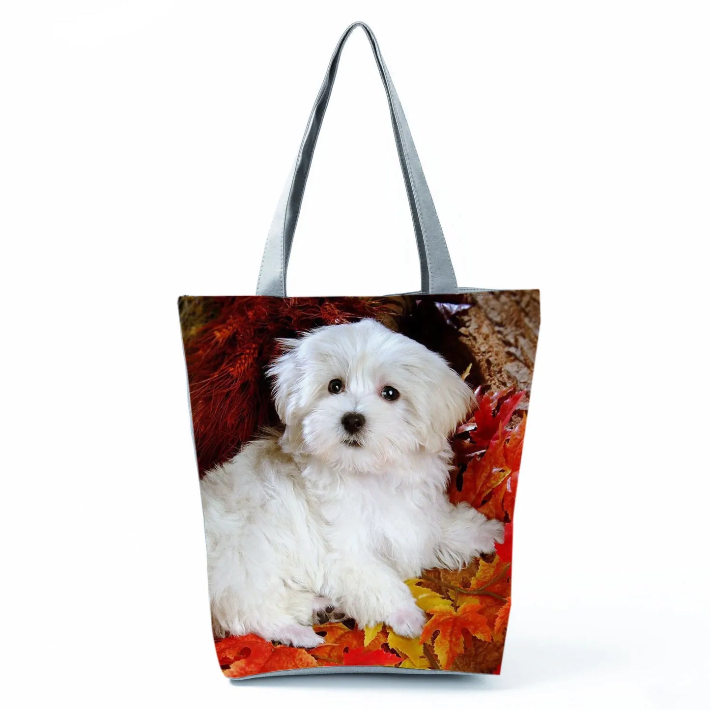 Borsa Cane Maltese Marzo 2026