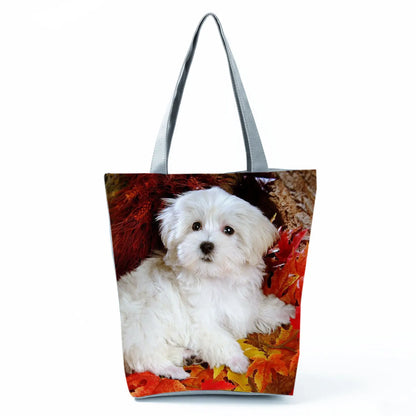 Borsa Cane Maltese Marzo 2026