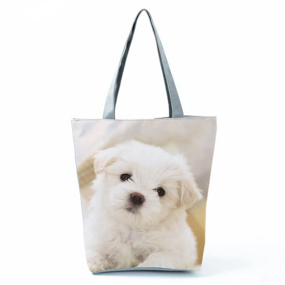 Borsa Cane Maltese Marzo 2026