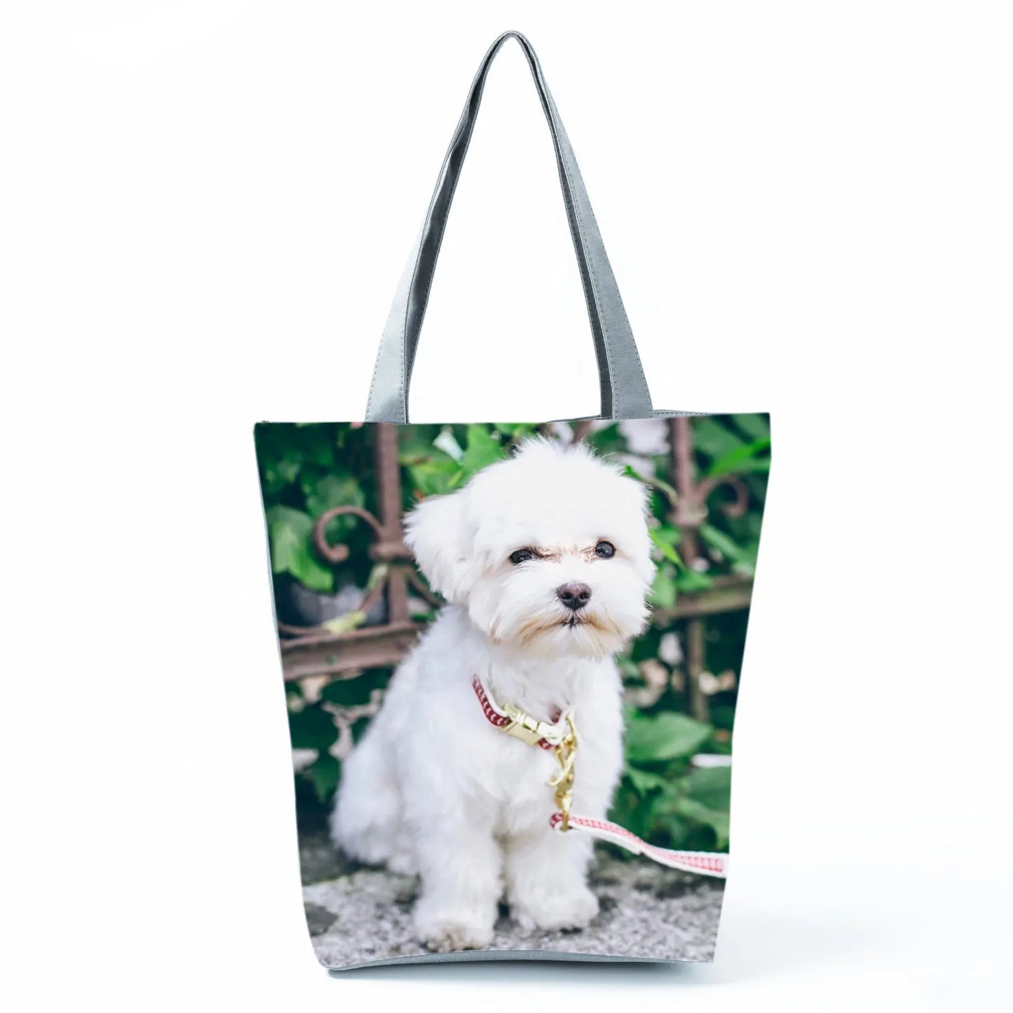 Borsa Cane Maltese Marzo 2026