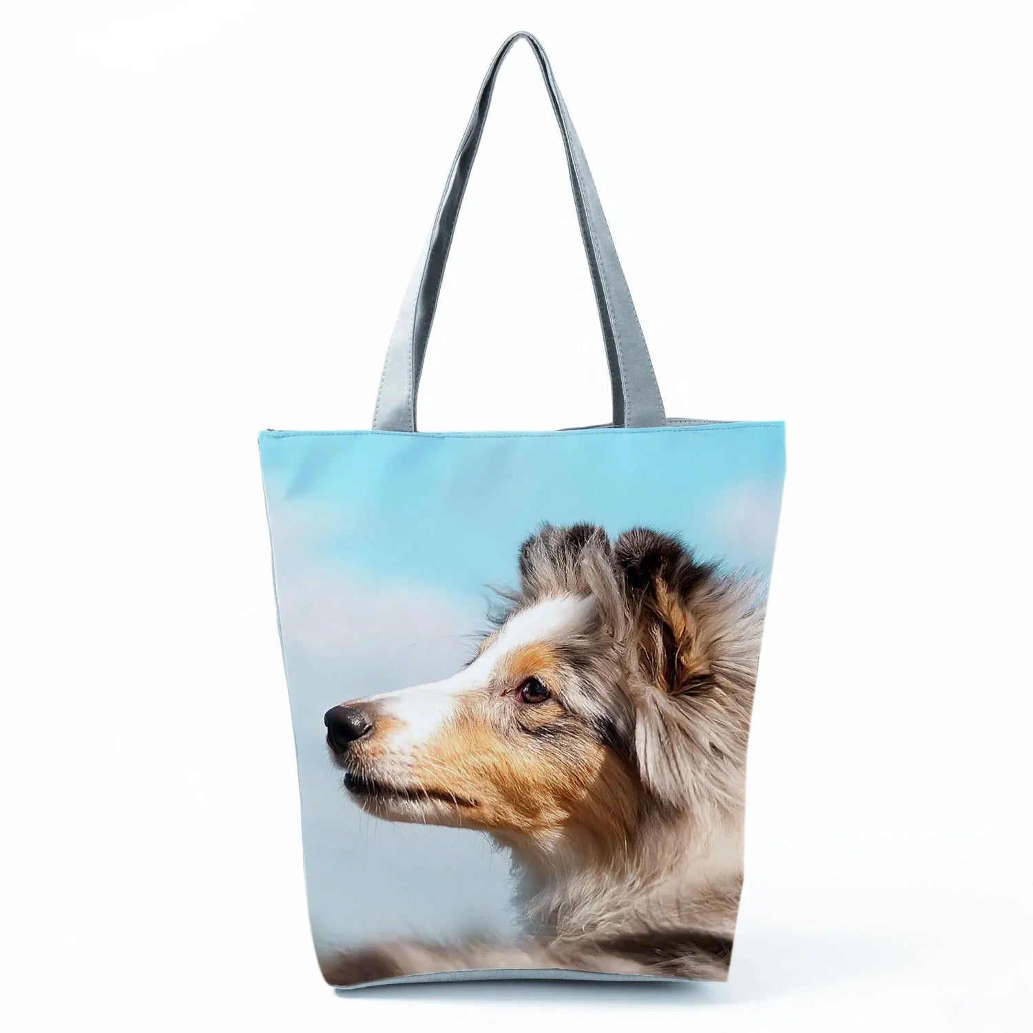 Borsa Rough Collie 2026