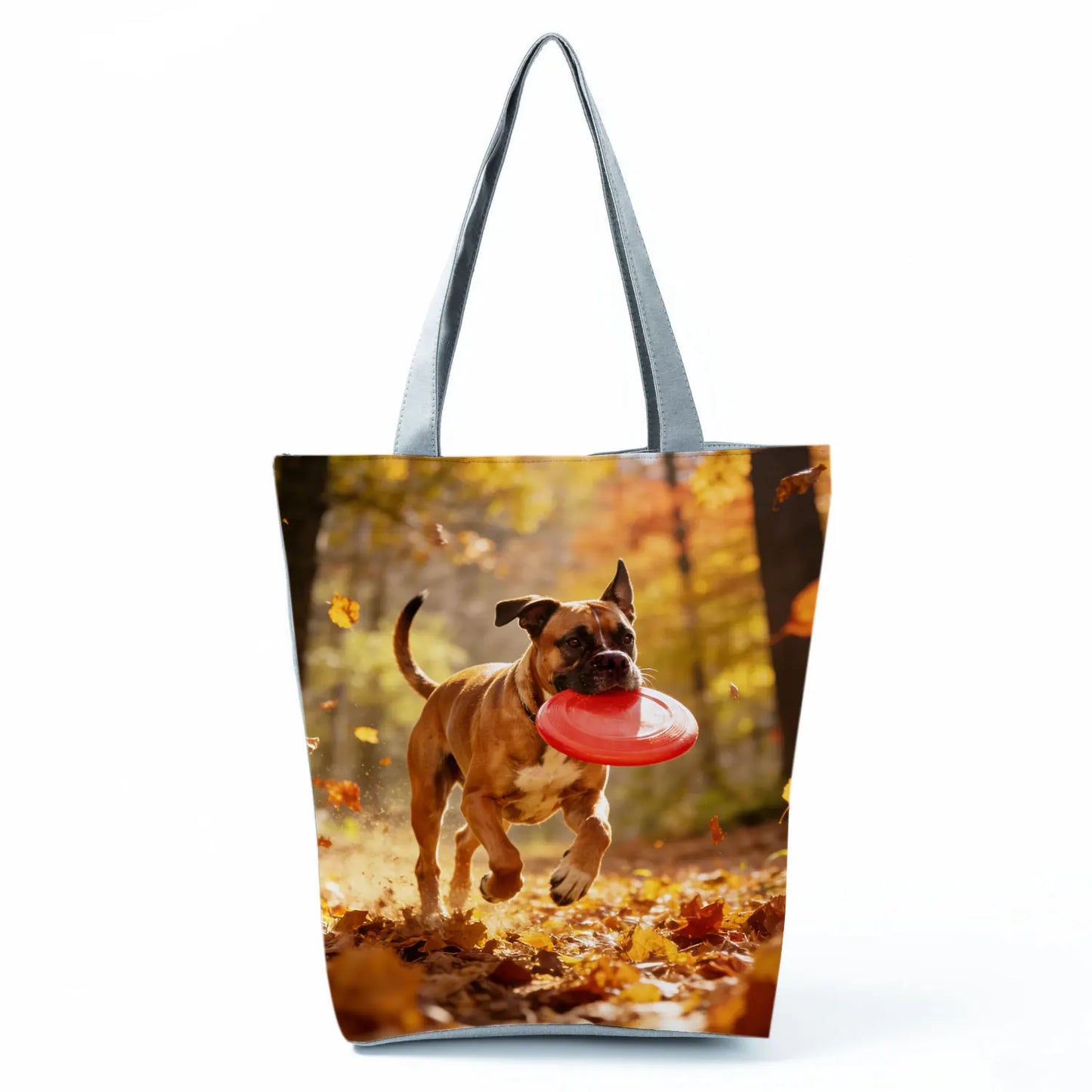 Borsa Cane Boxer Gennaio 2026