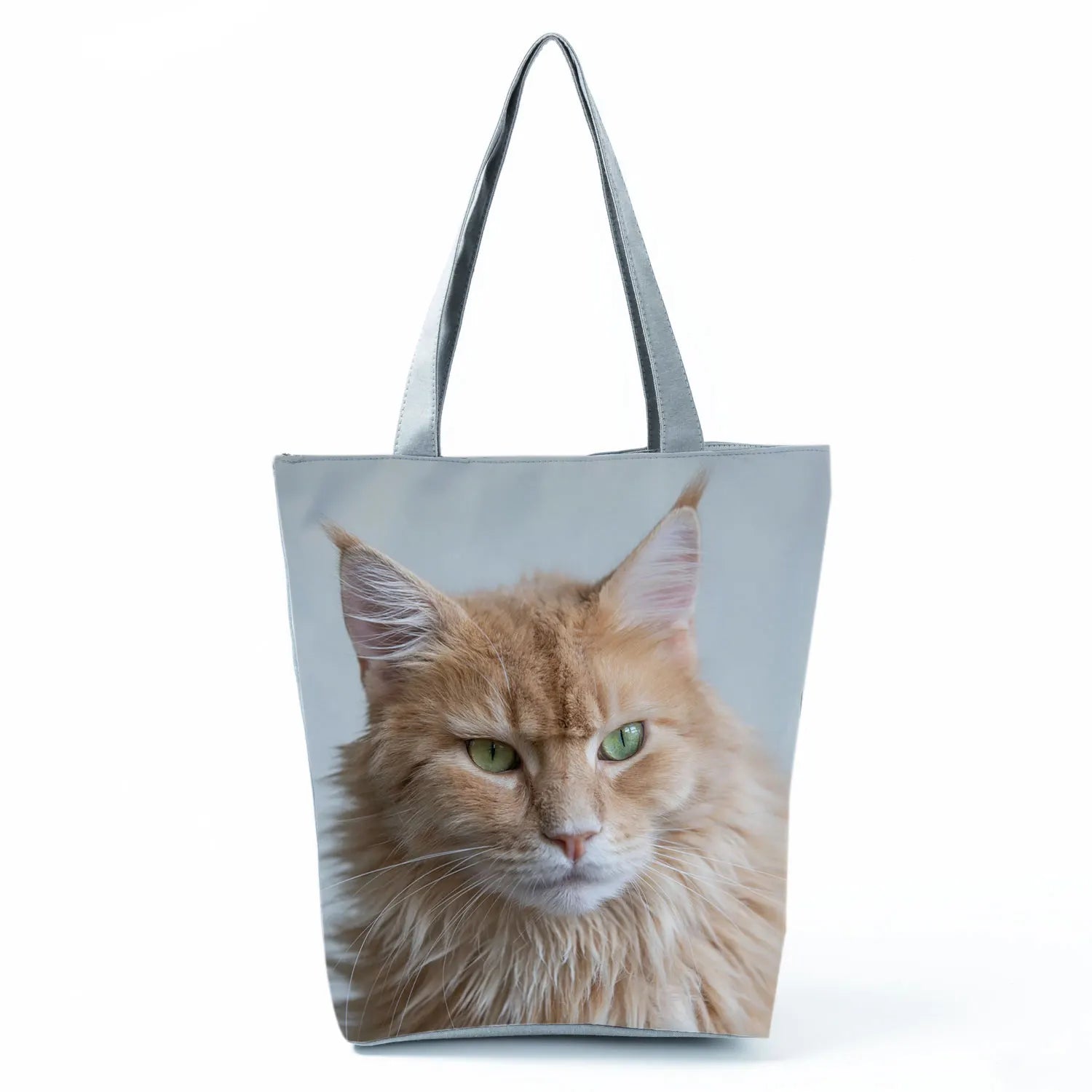 Borsa Gatto Maine Coon 2026