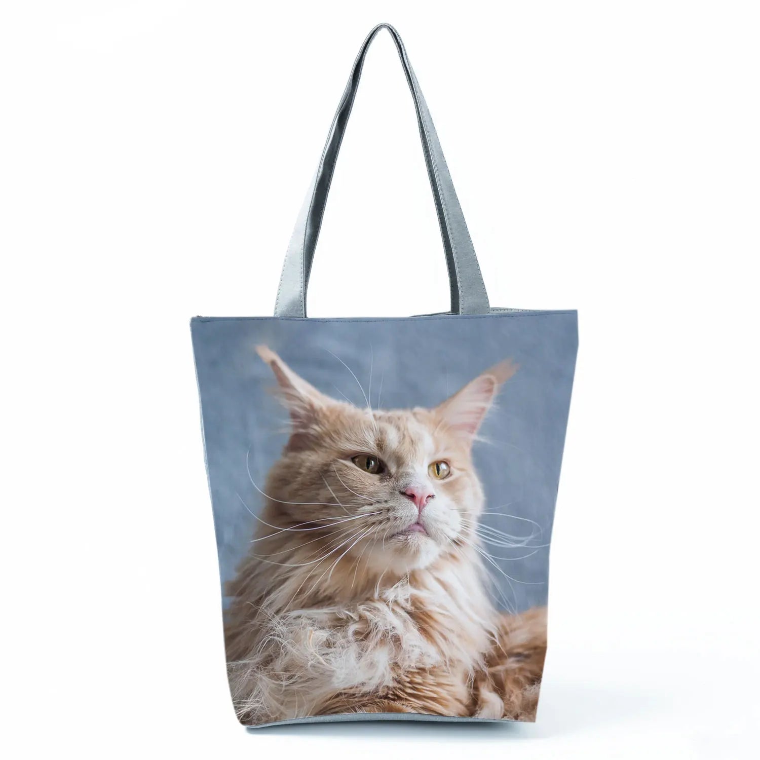 Borsa Gatto Maine Coon 2026