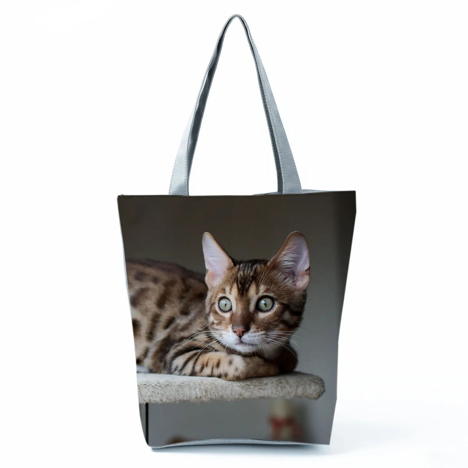 Borsa Gatto del Bengala 2026