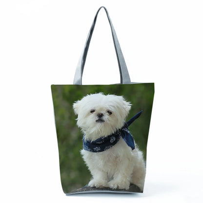 Borsa Cane Maltese Marzo 2026
