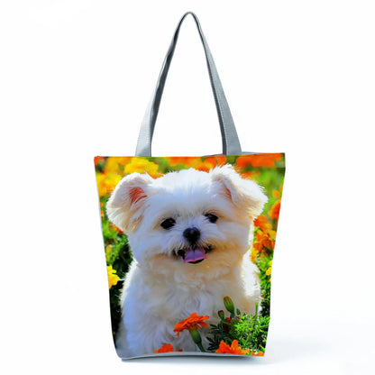 Borsa Cane Maltese Marzo 2026