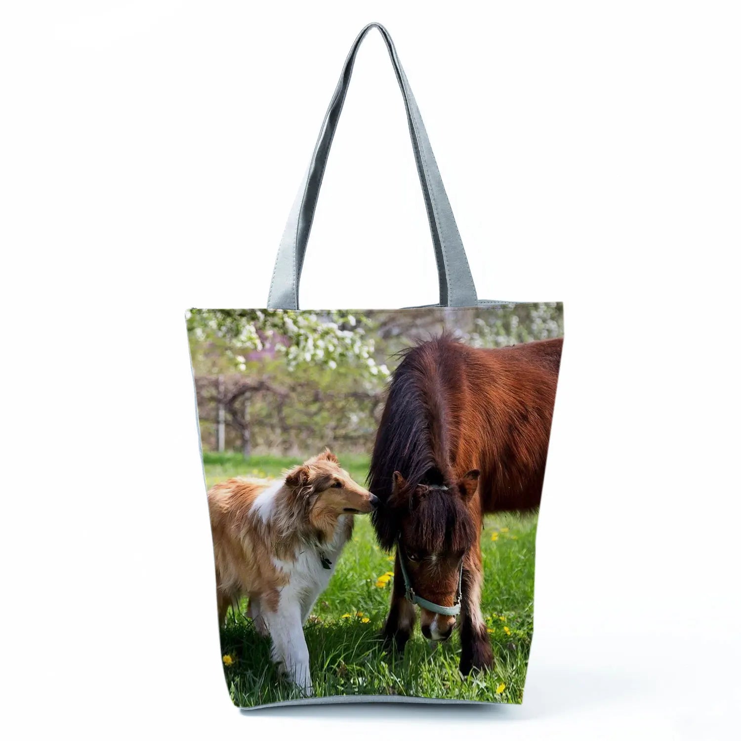 Borsa Rough Collie 2026