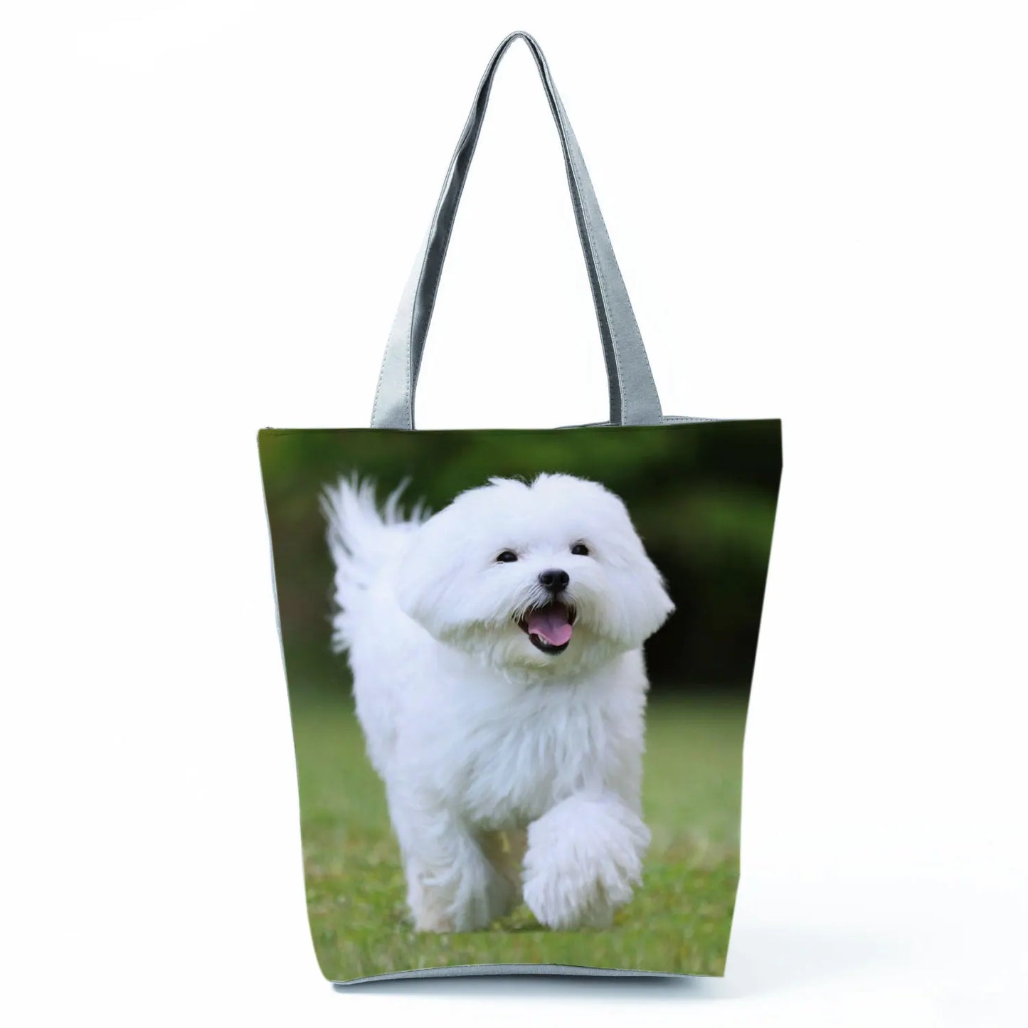 Borsa Cane Maltese Marzo 2026