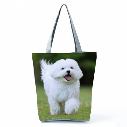 Borsa Cane Maltese Marzo 2026