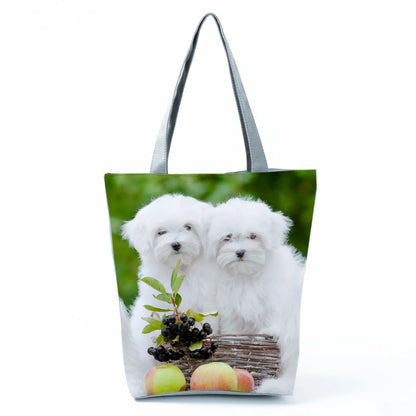 Borsa Cane Maltese Marzo 2026