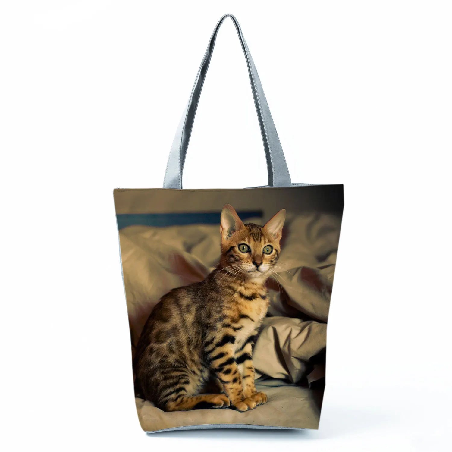 Borsa Gatto del Bengala 2026